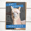 shop all greeting cards