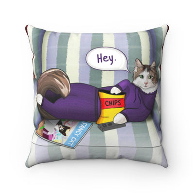 Cat throw pillows. Cat throw pillow. Cat with remote. Funny throw pillow.