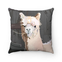 unique outdoor pillows