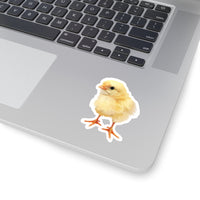 Baby Chick Sticker. Baby Chicken Sticker.