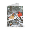 Cardinals Notebook