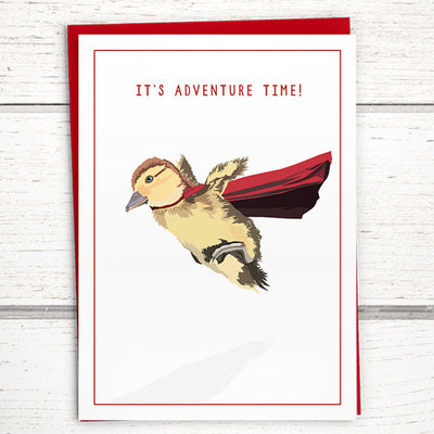 funny cards for friends, Funny Duck greeting card for friends