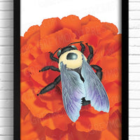 Product photo of colorful bumble bee wall art. Giclee home print of bumble bee art. Bumblebee prints.
