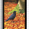 Crow art print wall decor. Bird artwork for kitchen and bathroom.