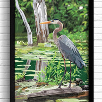 Birds: Great Blue Heron Art Print