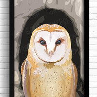 Barn owl art print wall decor. Bird artwork for kitchen and bathroom.