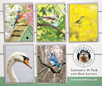 bird stationery set, gift for bird lovers, bird greeting card set