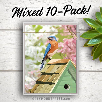 bird stationery set, bird notecard set, bird greeting card set, gift for bird lovers