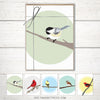 Bird notecard set, notecard sets, gifts for bird lovers