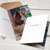 Guess what chicken butt card, funny cards for friends, just because cards, funny greeting card, guess what chicken butt cards, chicken birthday card