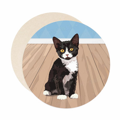 Tuxedo cat coasters. Black and white cat coasters for bar. Unique housewarming gift for cat lovers