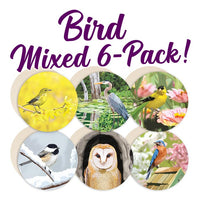 Bird coasters, gift for bird lovers