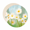 Daisy coaster set of paper bar coasters, gifts for housewarming gifts