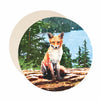 Fox coaster set of paper bar coasters.