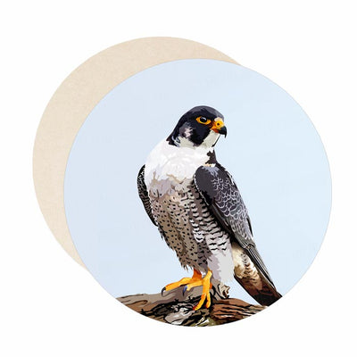 Peregrine Falcon coaster set of paper bar coasters.