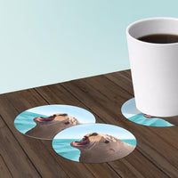 Sea Lion coaster set of paper bar coasters.