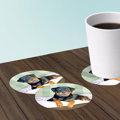 Rottweiler Coasters: Bar Coaster 6-Piece Set