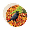 crow coasters