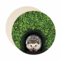 Hedgehog coaster set. Hedgehog coasters.