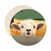 lamb coaster set paper bar coasters. Lamb coasters.