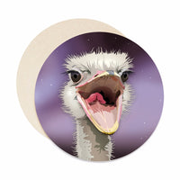 Ostrich coasters. Unique housewarming gift.