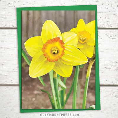 Daffodil greeting card, Blank sympathy card, Springtime card, happy spring card, i'm sorry for your loss card