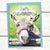 Donkey Greeting Card: "Let's Cele-BRAY-te!"