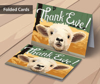 thank ewe cards, Lamb notecard sets, thank you notecard sets, Buyer thank you cards for livestock auctions