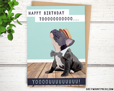 french bulldog birthday card, happy birthday cards, frenchie birthday card, french bulldog cards, funny dog birthday cards, dog birthday card, funny dog birthday card, Funny birthday cards for friends, happy birthday card