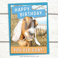 Funny goat birthday card, joke birthday cards, Happy birthday you old goat card, happy birthday goat card, funny birthday cards, happy birthday card, funny birthday cards for friends, funny happy birthday cards