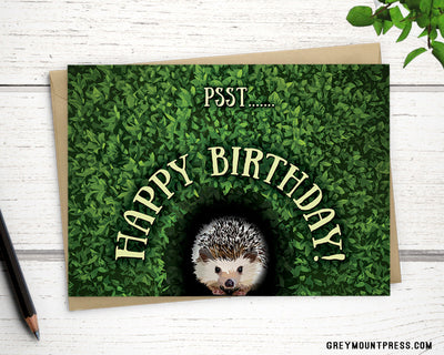 happy birthday cards, hedgehog birthday card for environmentalist, funny birthday cards for friends, cute birthday cards