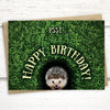 happy birthday cards, hedgehog birthday card for conservationist, funny birthday cards for friends, cute birthday cards, happy birthday card