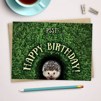 happy birthday cards, Cute hedgehog card for animal lover, funny birthday cards for friends, cute birthday cards