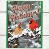 This photo shows a holiday card with two cardinals and the words Happy Holidays above the scene.