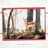 deer christmas cards, deer holiday cards, deer christmas card, deer holiday card