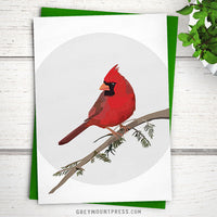 Northern Cardinal Greeting Card. Cardinal card for holidays.