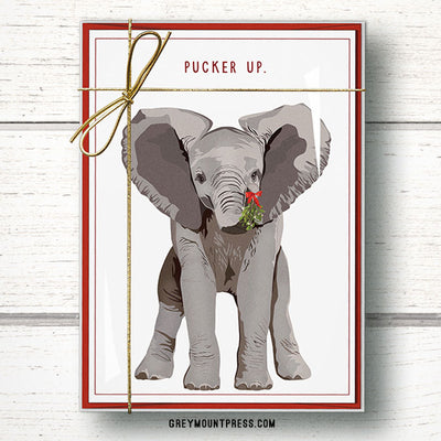 Holiday: 15-Pack of Funny Elephant Christmas Cards