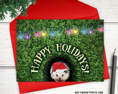 Hedgehog Christmas cards, Hedgehog holiday cards, funny christmas cards