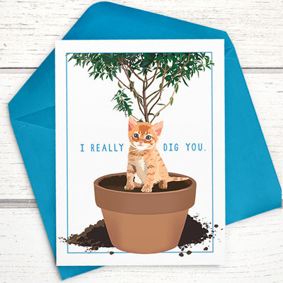 cat card, Funny cat card, Platonic valentines day card, funny cards for friends, funny anniversary cards