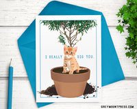 cat card, Funny cat card for platonic friend, funny anniversary cards