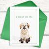 Funny dog card, Doodle platonic valentine's day card, Funny Cards for Friends, funny anniversary cards