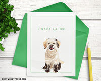 Funny dog card for anniversary, funny anniversary cards for dog lovers