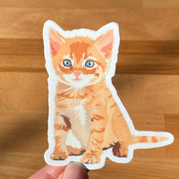 Ginger cat laptop sticker. Cat waterbottle sticker.