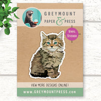 Cat: Maine Coon Cat Sticker