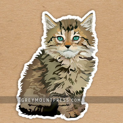 Cat: Maine Coon Cat Sticker