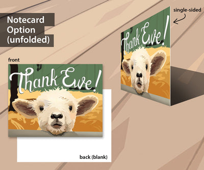 lamb notecard sets, thank you notecard sets