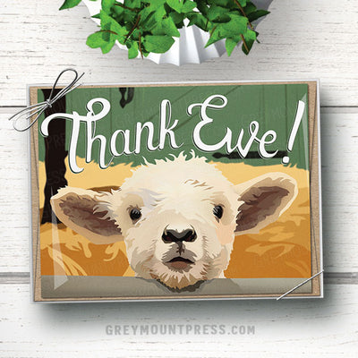 thank ewe cards, Lamb notecard sets, thank you notecard sets, Lamb thank you notes, Lamb note card set