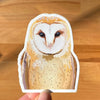 Barn owl sticker. Vinyl owl sticker for laptop and water bottle.