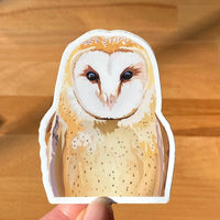 Barn owl sticker. Vinyl owl sticker for laptop and water bottle.