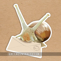 Snail mail sticker